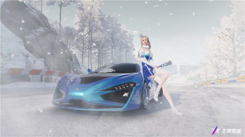 圖七：雪魄瓊花，浪漫非常.jpg